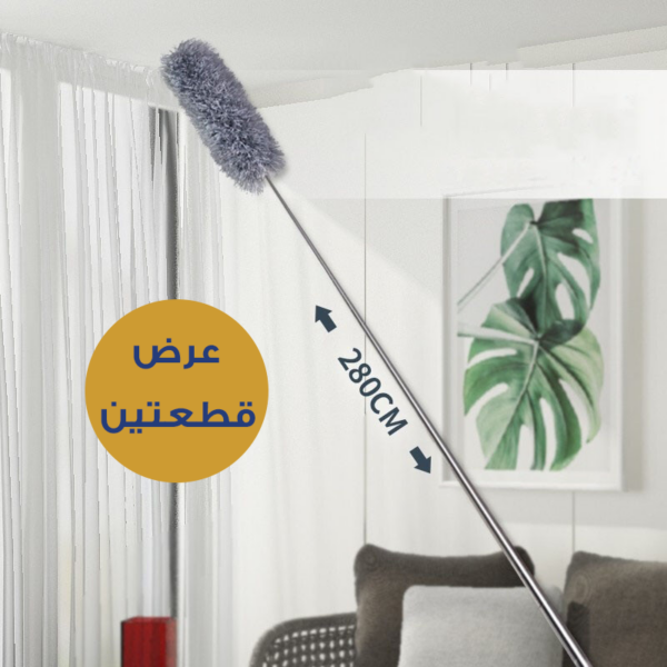 عرض قطعتين عصا تنظيف ريشية